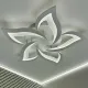 Люстра стельова світлодіодна біла з пультом ELLA 50W